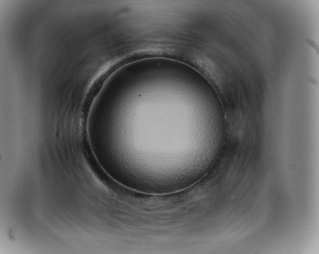 X0000099230016200804241502