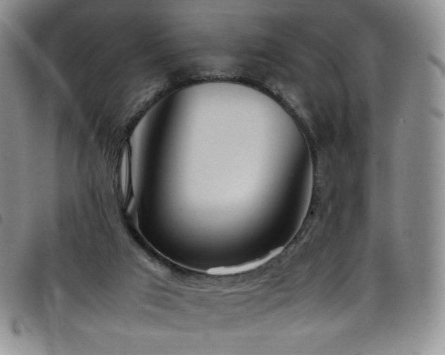 X0000099230017200804241502