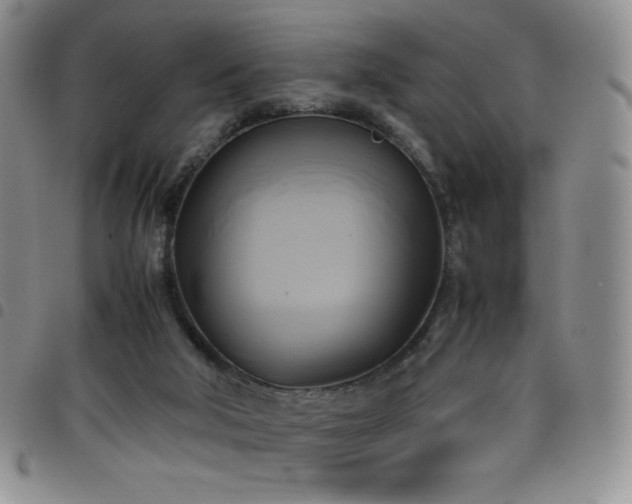 X0000099230018200804241502