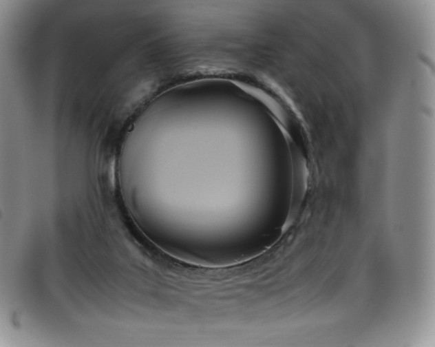 X0000099230019200804241502