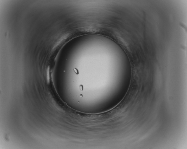 X0000099230020200804241502