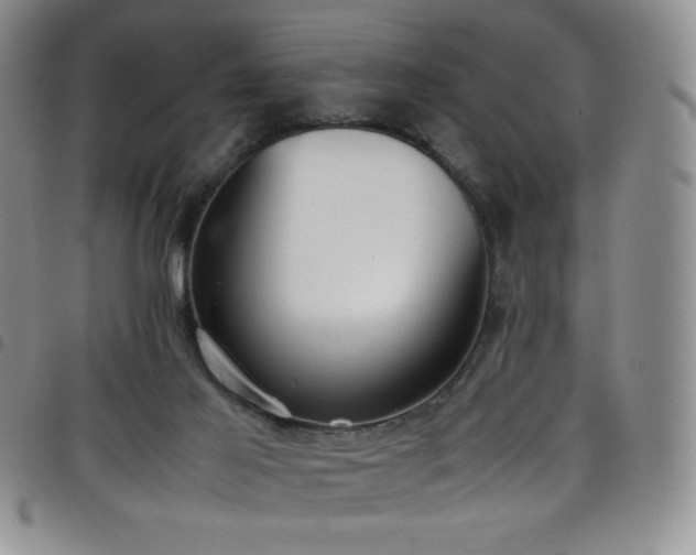 X0000099230021200804241502