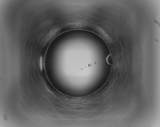 X0000099230022200804241502