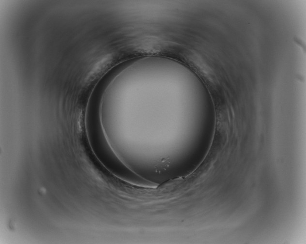 X0000099230023200804241502