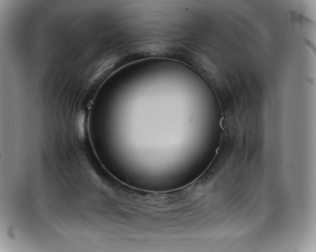 X0000099230024200804241502