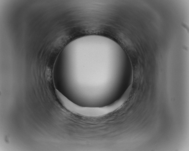 X0000099230025200804241502