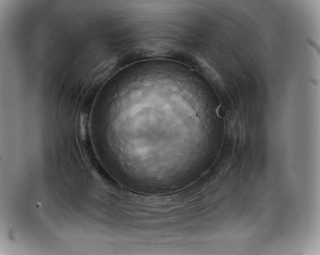 X0000099230026200804241502