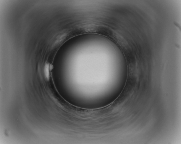 X0000099230028200804241502