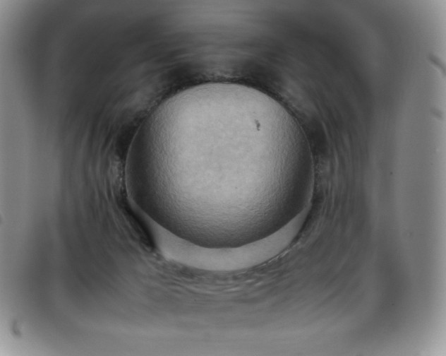 X0000099230029200804241502