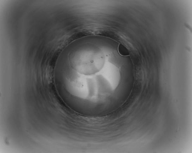 X0000099230030200804241502