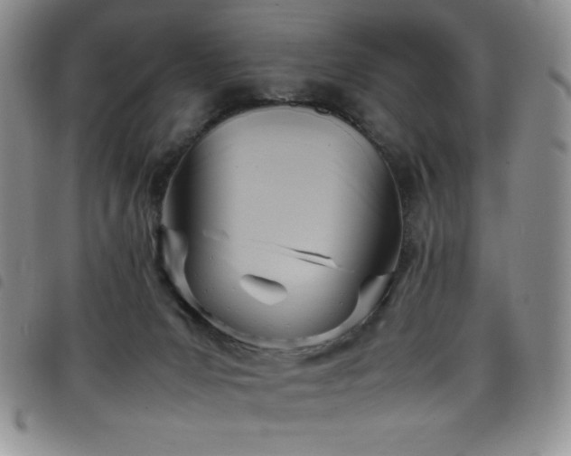 X0000099230031200804241502