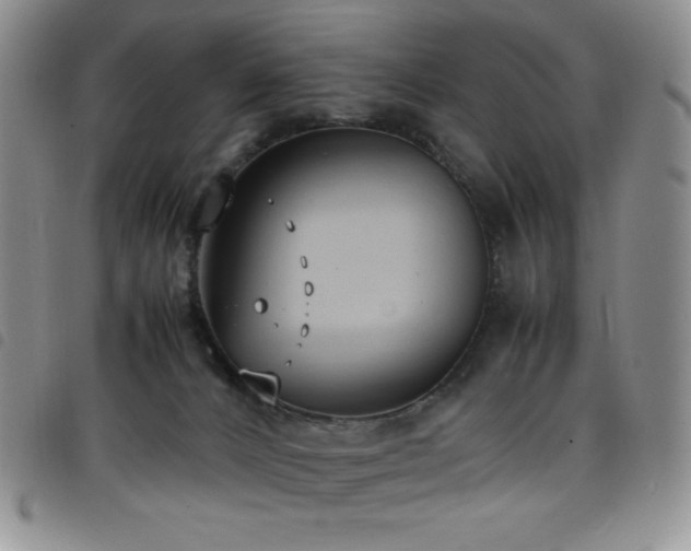 X0000099230032200804241501