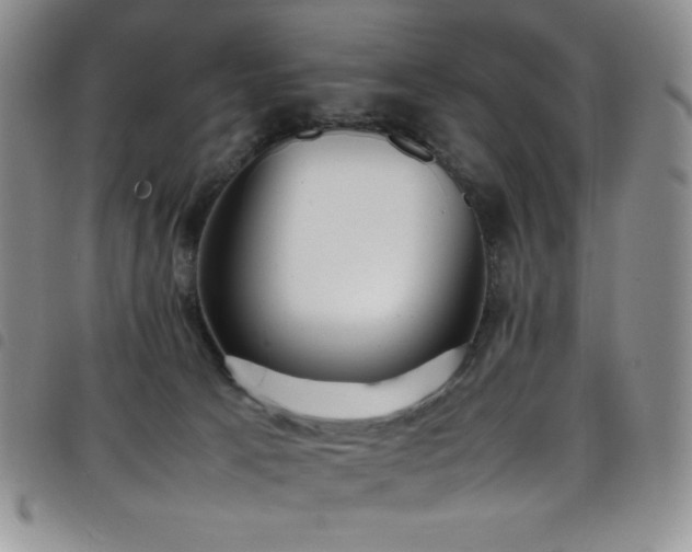 X0000099230033200804241501