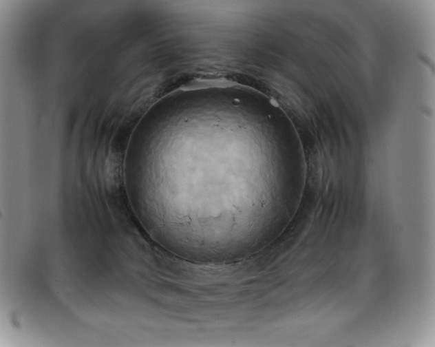 X0000099230034200804241501