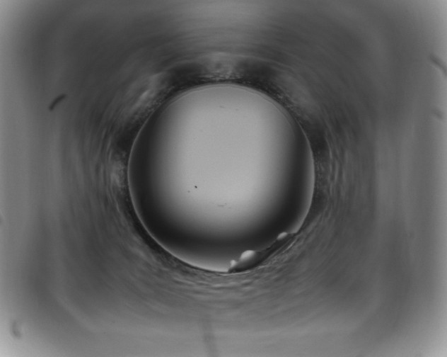 X0000099230035200804241501