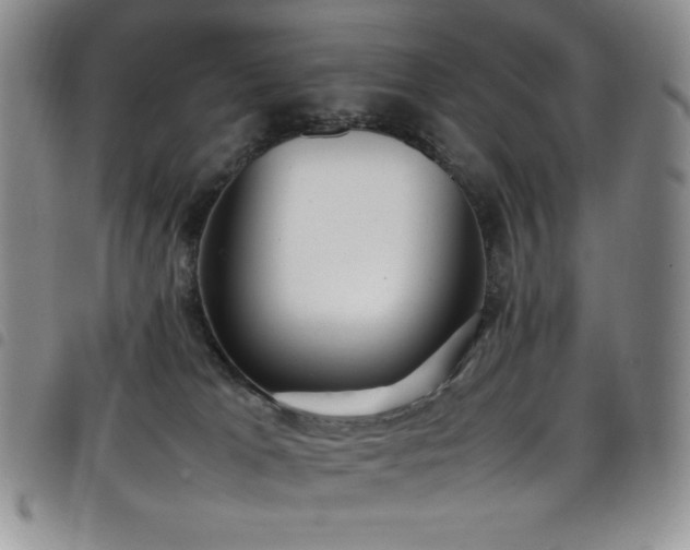 X0000099230037200804241501