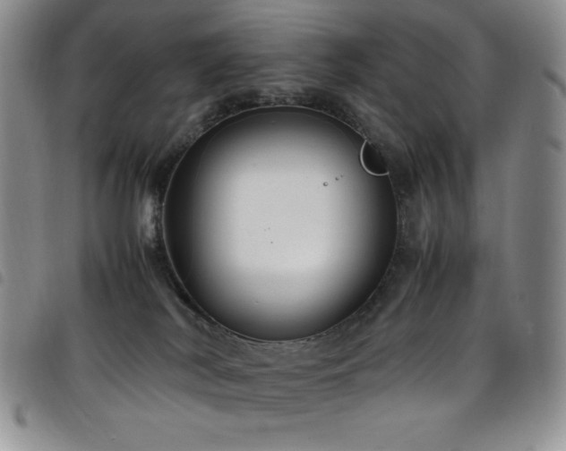 X0000099230038200804241501