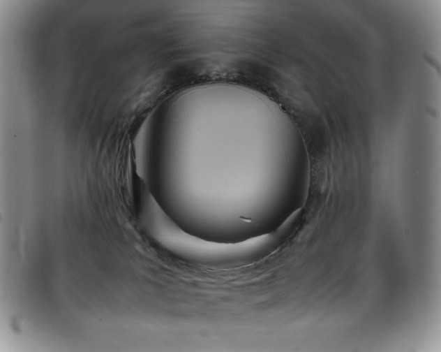 X0000099230039200804241501