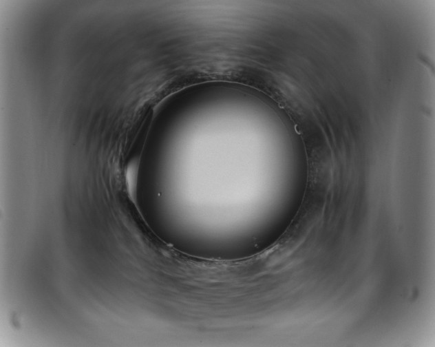 X0000099230040200804241501