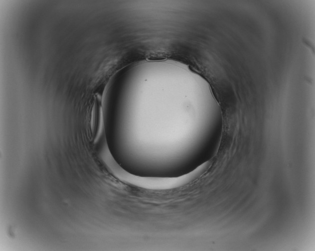 X0000099230041200804241501