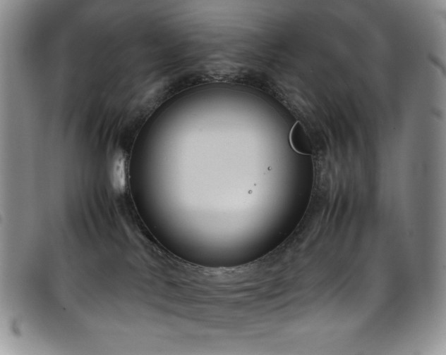 X0000099230042200804241501