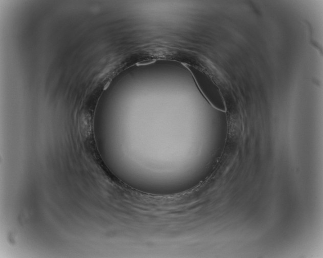 X0000099230043200804241501