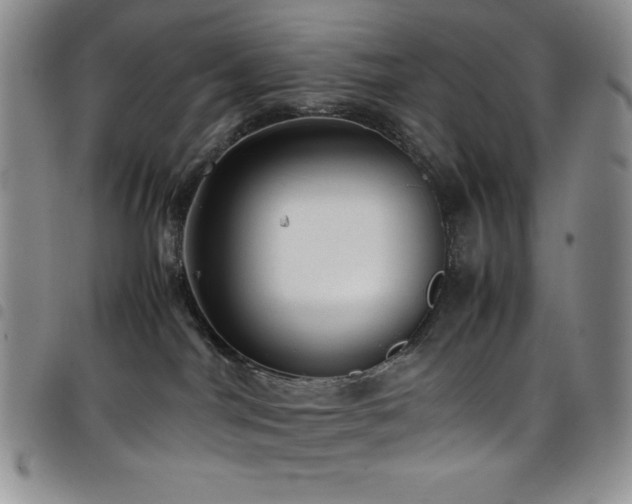 X0000099230044200804241501