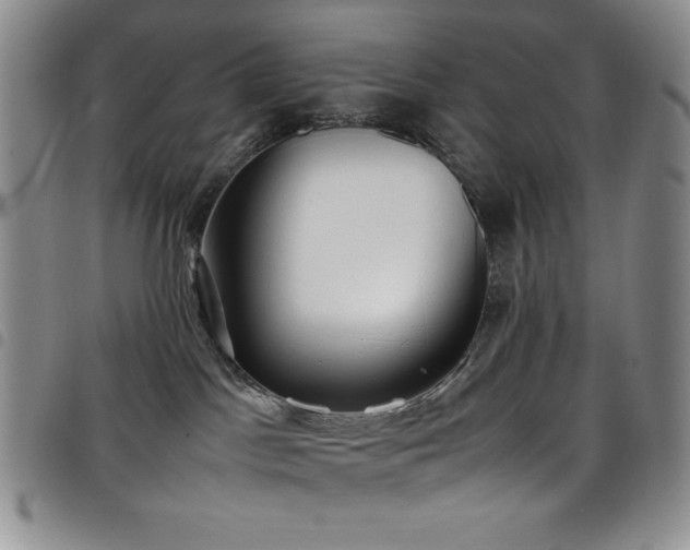 X0000099230045200804241501