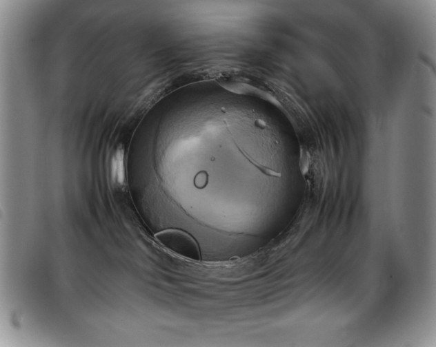 X0000099230046200804241501