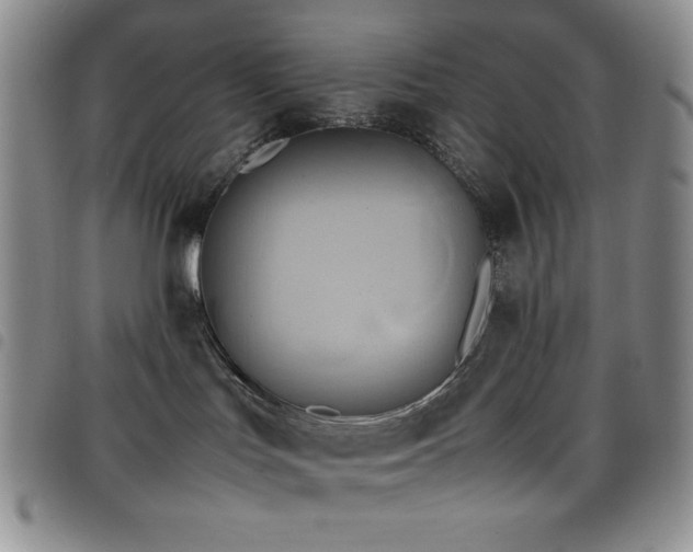 X0000099230047200804241501