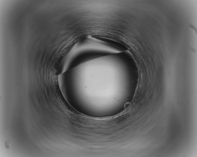 X0000099230048200804241501