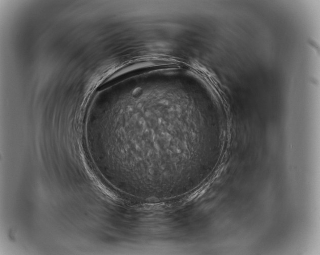 X0000099230049200804241501