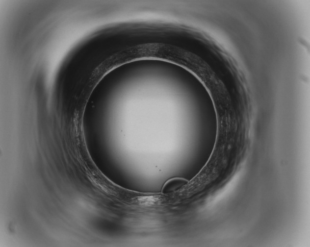 X0000099230050200804241501