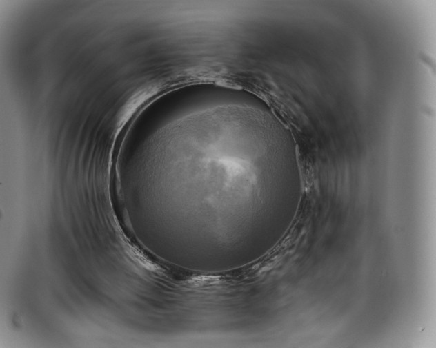 X0000099230052200804241501