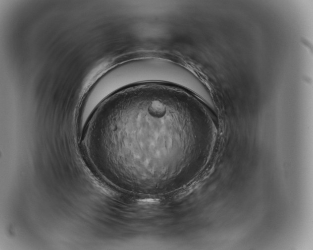 X0000099230053200804241501