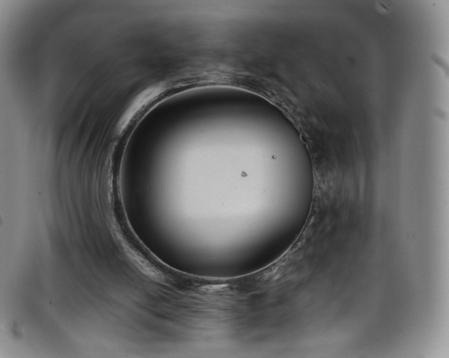 X0000099230054200804241501