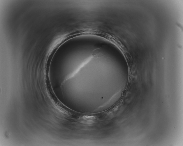 X0000099230055200804241501