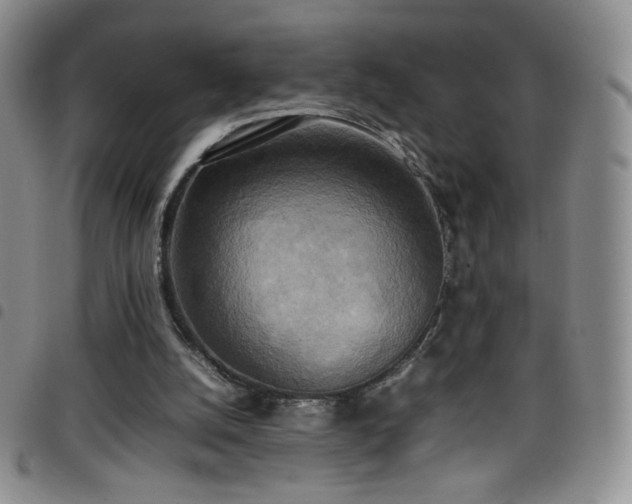 X0000099230056200804241501