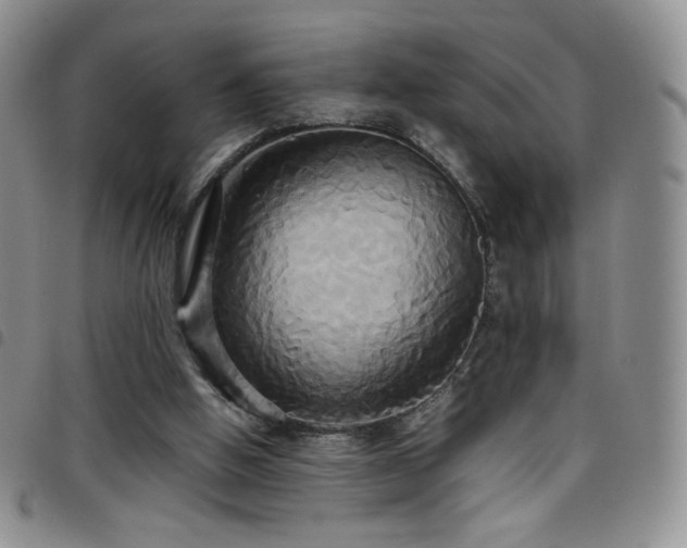 X0000099230058200804241501