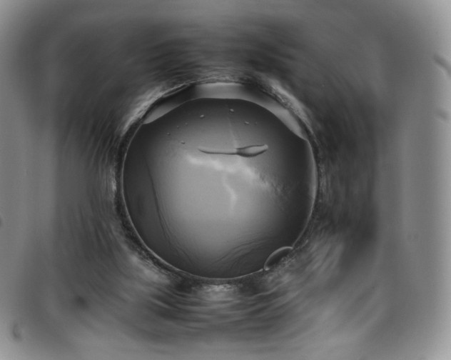 X0000099230059200804241501