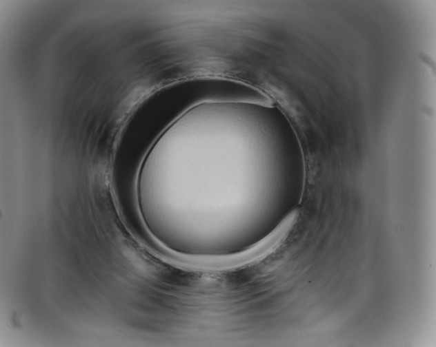 X0000099230060200804241501