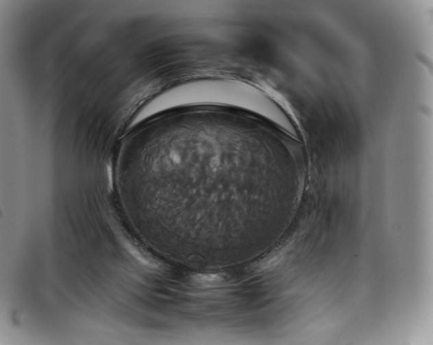 X0000099230061200804241501