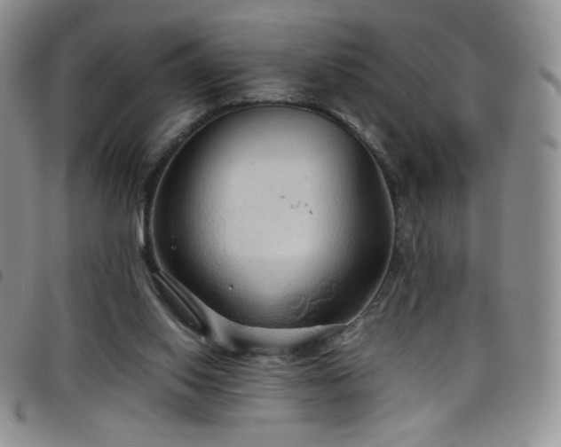 X0000099230062200804241501