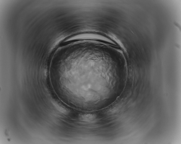 X0000099230063200804241501