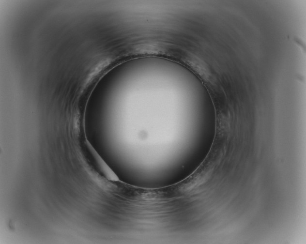 X0000099230064200804241501