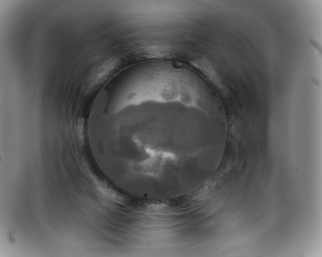 X0000099230066200804241501