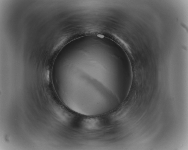 X0000099230067200804241501