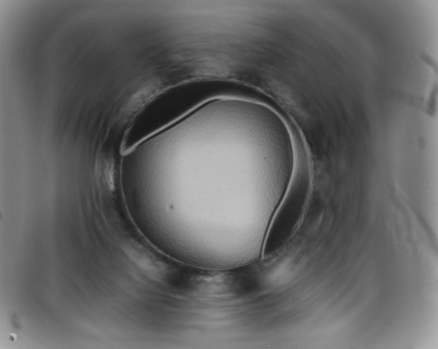 X0000099230068200804241501