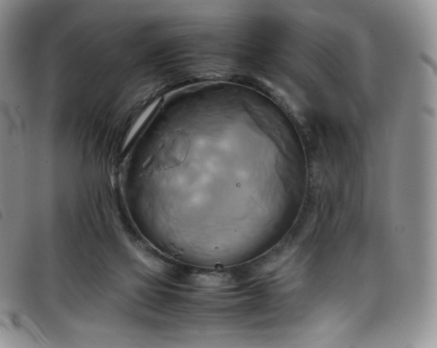 X0000099230069200804241501