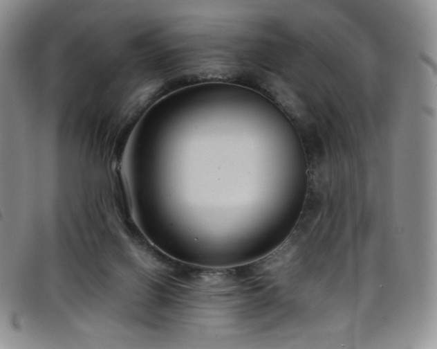 X0000099230070200804241501